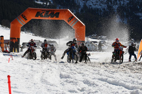 Skijöring Gosau
