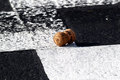 MOTORSPORT | WTCC 2012 | Valencia 