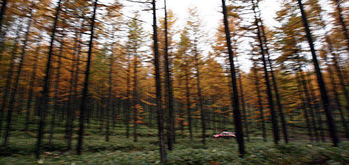 Rallye-WM: Japan 