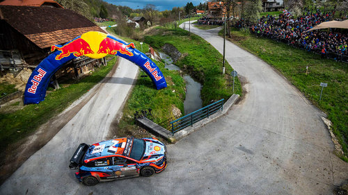 WRC Rallye Kroatien: ServusTV überträgt live 