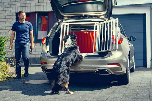 Hundegerecht: neuer Ford Focus Traveller 