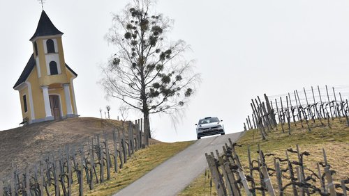 Rebenland Rallye: Vorschau 