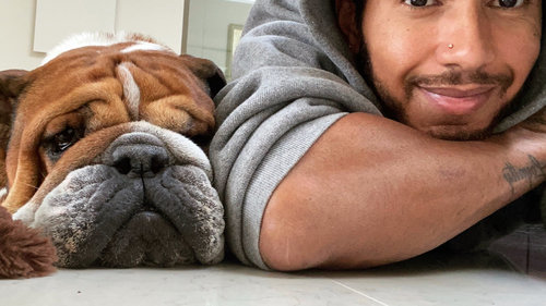 "Mein bester Freund" Lewis Hamilton mit seiner Bulldogge Roscoe (Archivbild)