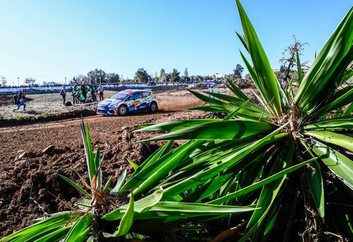RALLYE | WRC 2019 | Katalonien 4 