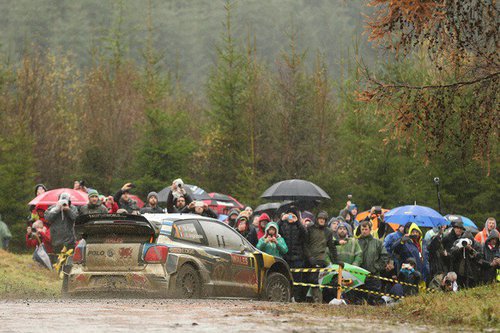 RALLYE | WRC 2015 | Wales | Tag 2 | Galerie 01 