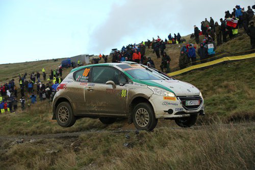 RALLYE | WRC 2015 | Wales | Tag 2 | Galerie 03 
