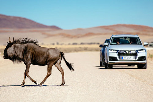 OFFROAD | Neuer Audi Q7: Vorserientest in der Wüste | 2015 