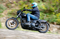  Harley-Davidson Low Rider S
