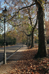  Carriage Drive South, Battersea Park, London