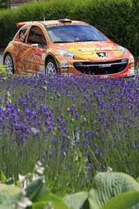  Freddy Loix, Ypres Rally 2009, Peugeot 207 S2000